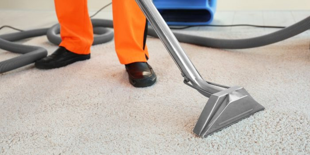 Carpet Cleaning Services That Deliver Long-Lasting Freshness